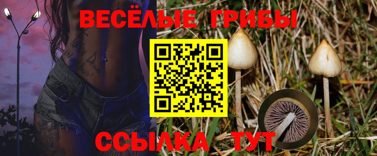 Галлюциногенные грибы GOLDEN TEACHER Королёв